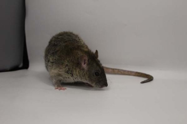 Taken by Rhiannon  (143)