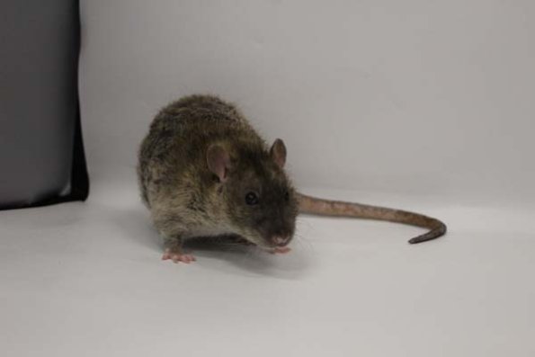 Taken by Rhiannon  (144)