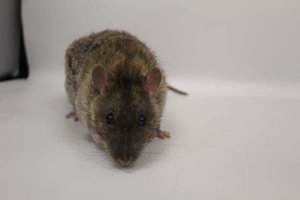 Taken by Rhiannon  (146)