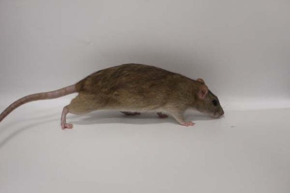 Taken by Rhiannon  (149)