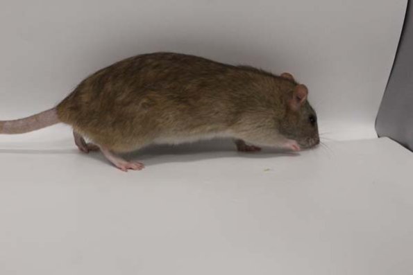 Taken by Rhiannon  (150)