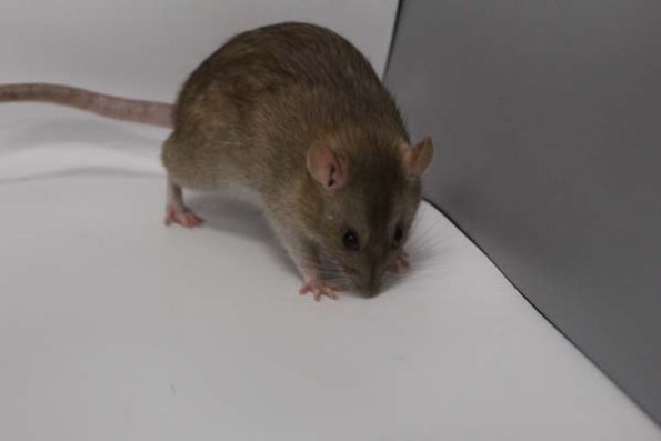 Taken by Rhiannon  (152)