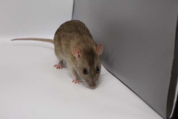 Taken by Rhiannon  (156)