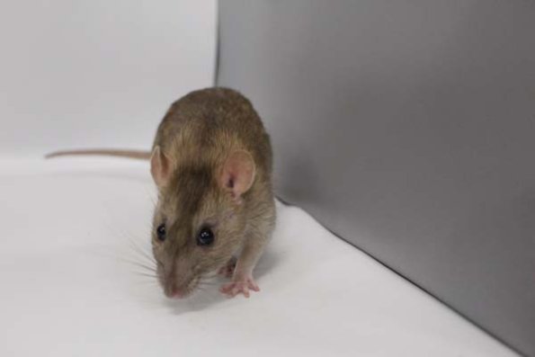 Taken by Rhiannon  (159)