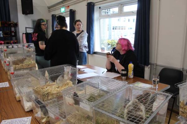 Taken by Rhiannon  (16)