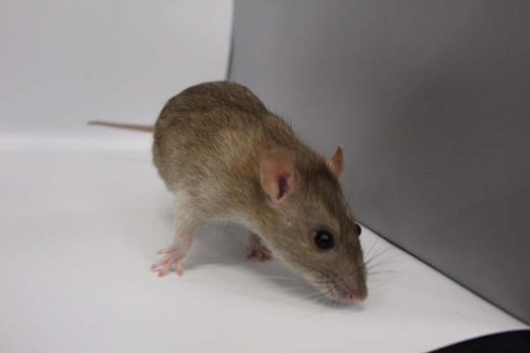 Taken by Rhiannon  (160)