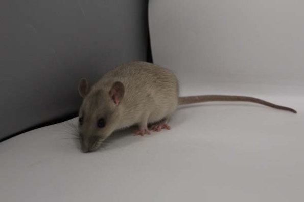 Taken by Rhiannon  (161)