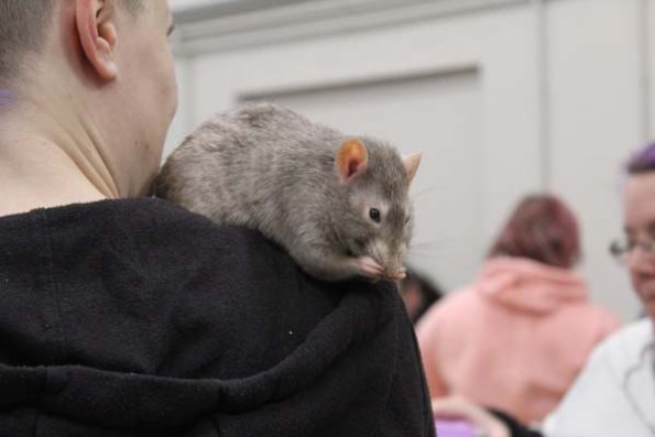 Taken by Rhiannon  (18)