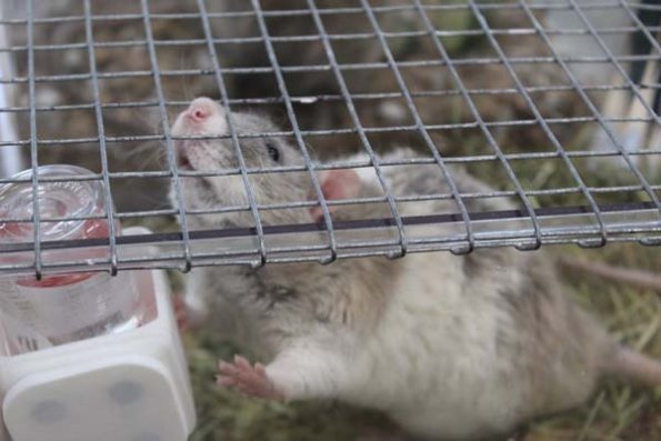 Taken by Rhiannon  (19)