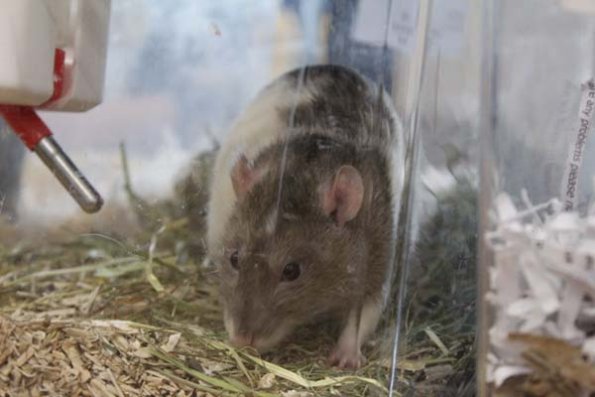 Taken by Rhiannon  (21)