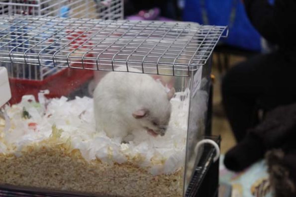 Taken by Rhiannon  (24)