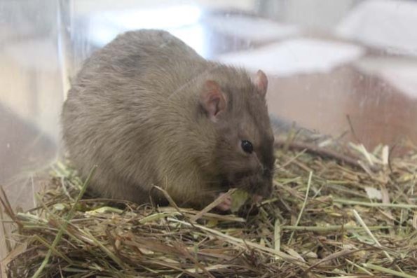 Taken by Rhiannon  (3)