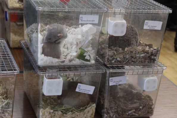 Taken by Rhiannon  (40)