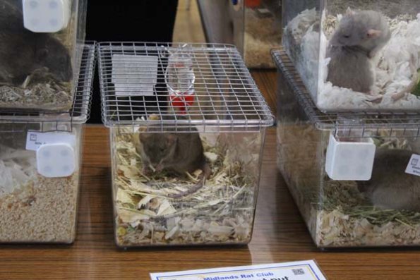 Taken by Rhiannon  (41)