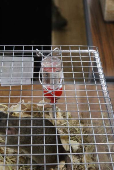 Taken by Rhiannon  (42)