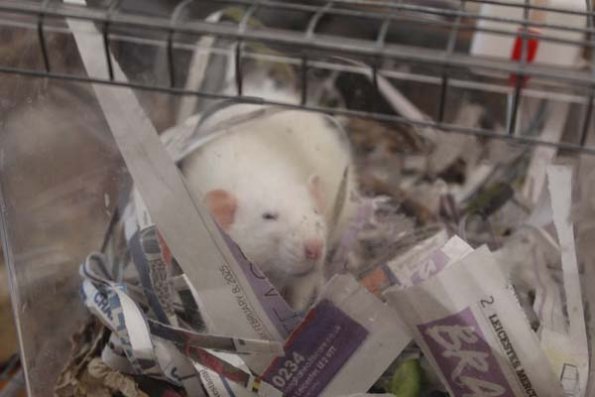 Taken by Rhiannon  (43)