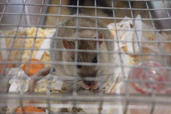 Taken by Rhiannon  (44)