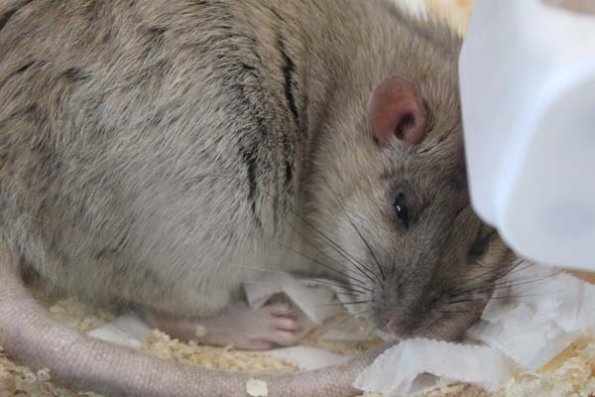 Taken by Rhiannon  (55)