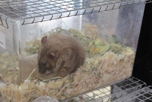 Taken by Rhiannon  (58)