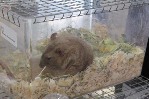 Taken by Rhiannon  (59)