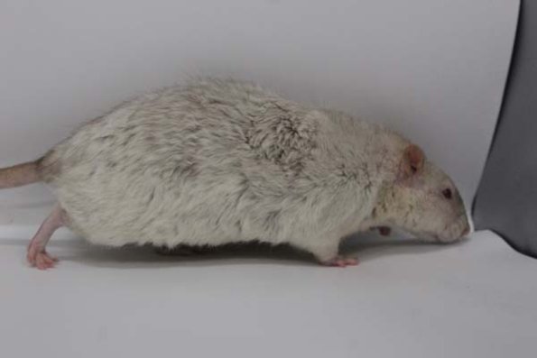 Taken by Rhiannon  (79)