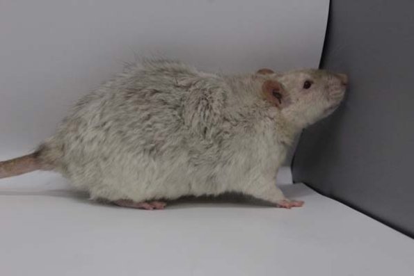 Taken by Rhiannon  (81)