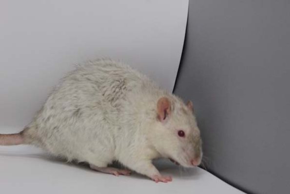 Taken by Rhiannon  (83)