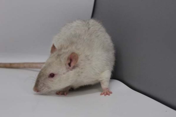 Taken by Rhiannon  (84)