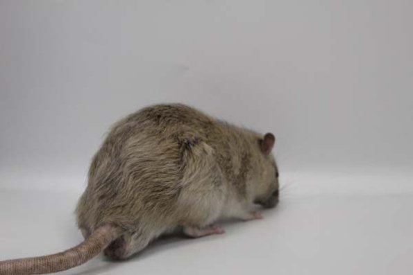 Taken by Rhiannon  (88)