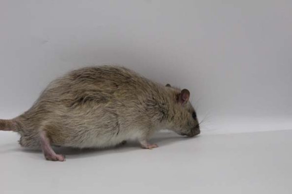 Taken by Rhiannon  (89)