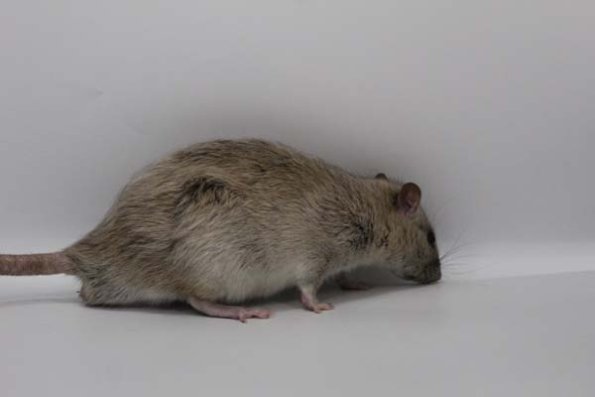 Taken by Rhiannon  (90)