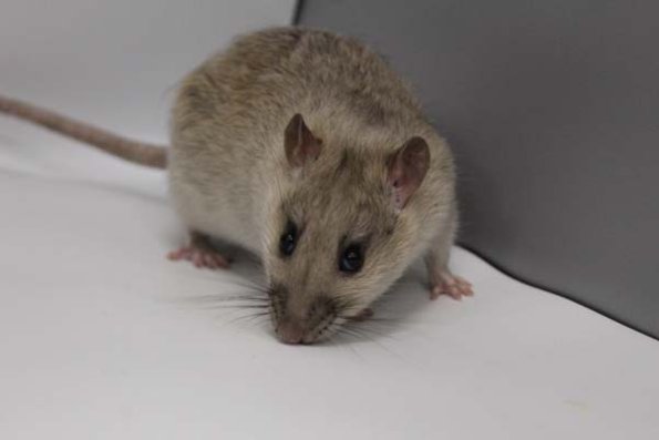 Taken by Rhiannon  (96)