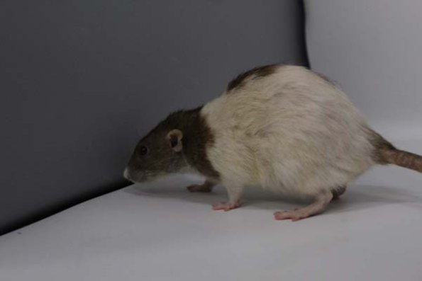 Taken by Rhiannon  (99)